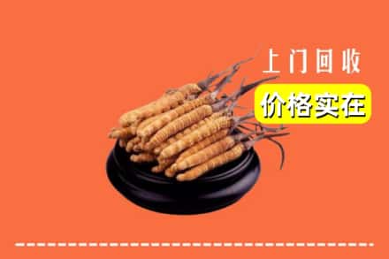 宜川县回收冬虫夏草